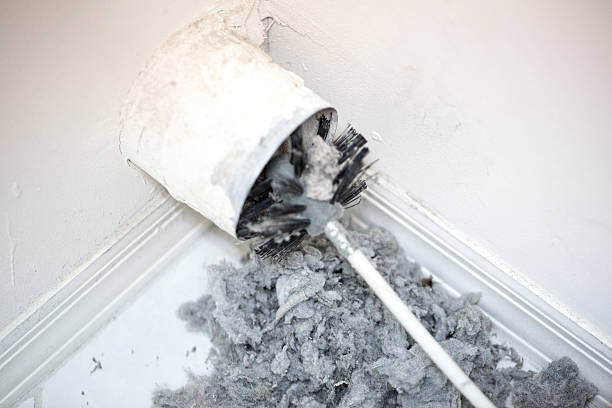 Air Duct Mold Removal in Sauk Centre, MN